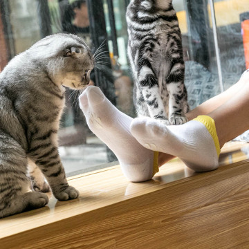 Frauen Socken Mädchen Socken schwarze dünne Baumwollsocken