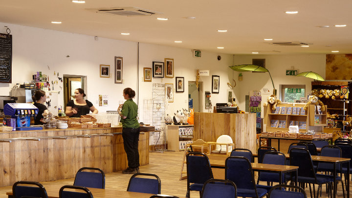 Dartmoor-Zoo-restaurant-and-shop-lighting Dartmoor-Zoo-restaurant-and-shop-lighting