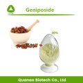 Anti-cáncer Gardenia Furit Extract Genipin 98% Powder