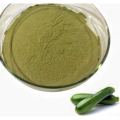 High Quality Cucurbita Pepo Extract
