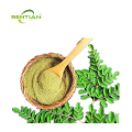 Pure Natural Moringa Oleifera Leaf Extract Powder