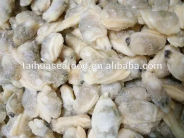 IQF cooked baby clam meat without shell for export