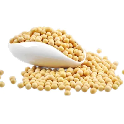 Soy Bean Protein Soy Protein Isolate