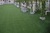 Double stem landscaping artificial grass with four colors