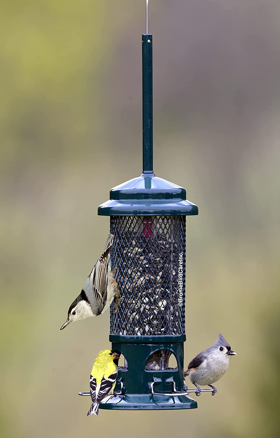 Mangeoire à oiseaux d&#39;écureuil