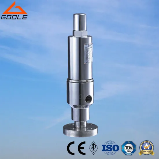Flanged High Pressure Safety Overflow Valve (GYA42H)