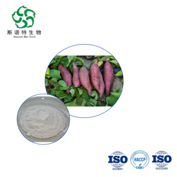 Premium Organic Sweet Potato Extract Powder Bulk Buy