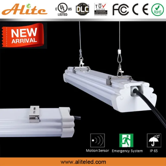 6000k tri-proof light, led packing triproof light with 5 years warranty
