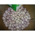 2019 Hot Sale Frischer Knoblauch