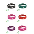 Kualitas Tinggi Anti-loss Ukuran Kecil Silicone Pet Collars