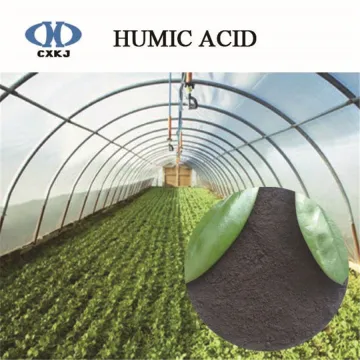 Leonardite mine humic acid 70% from Xinjiang