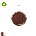 Extrait de graines de raisin biologique OPC Proanthocyanidines Powder à 95%