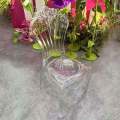 Outdoor Event Transparent Chair