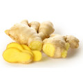 Natural ginger root extract herbal supplement