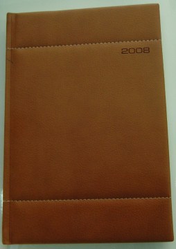2009 Diary