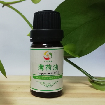 Flavour and fragrance pure natural Peppermint essential oil
