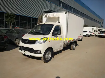 3m Foton Refrigerator Small Van Trucks