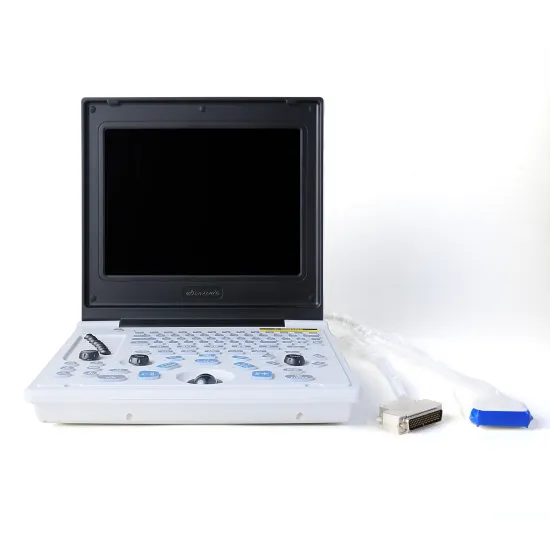 Portable ultrasound for mobile medical services