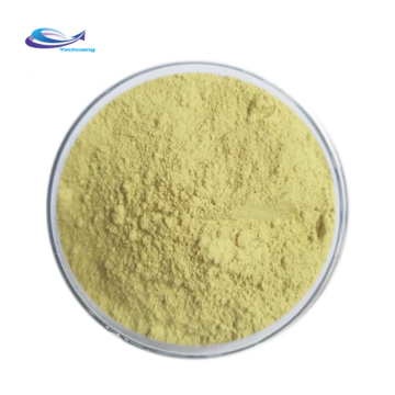 Natural Beauty Product Sophora Japonica Extract