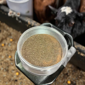 Eco-friendly Aquaculture Feed Mycoprotein 70%