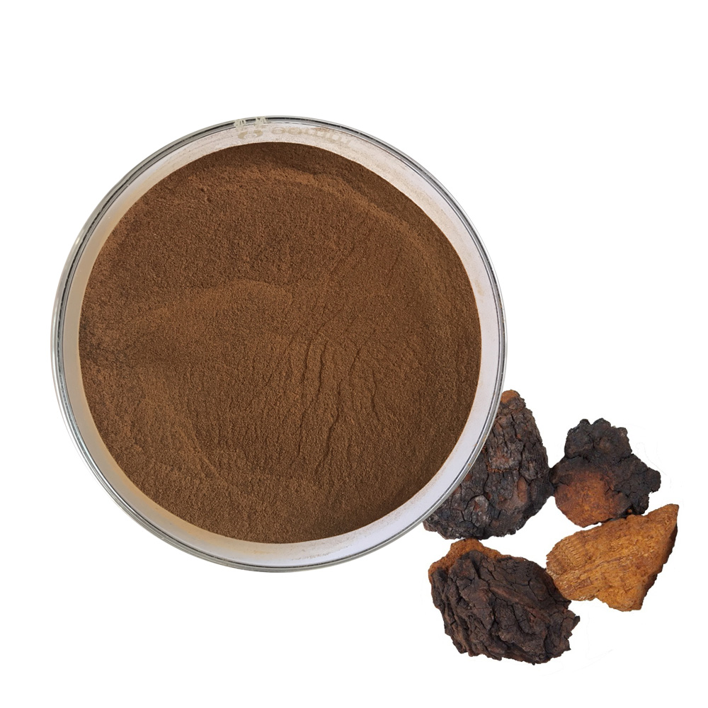 Chaga Mushroom Extract