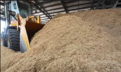 agricultural waste biogas generator