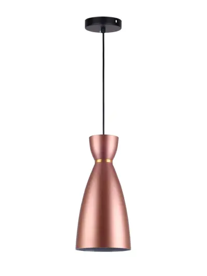 Modern Design Pendant Light Indoor  Home Lighting