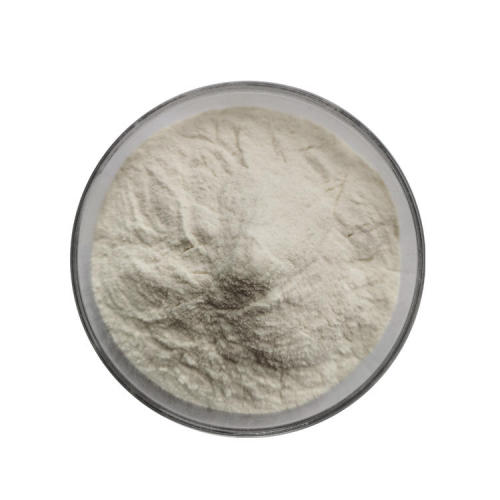 High Quality Acid Proteinase Food Additives