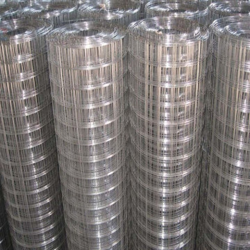 High Quality Stainless Steel Welded Wire Mesh
