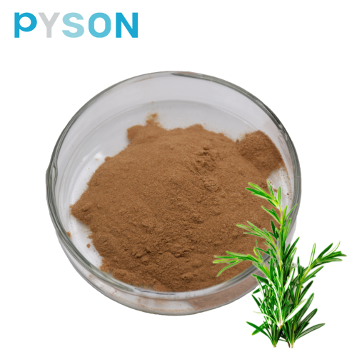 Cosmetic raw material Rosemary extract