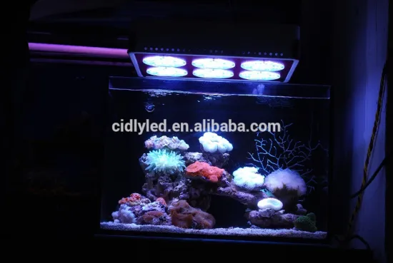 Cidly led 6 full spectrum led marine reef lighting