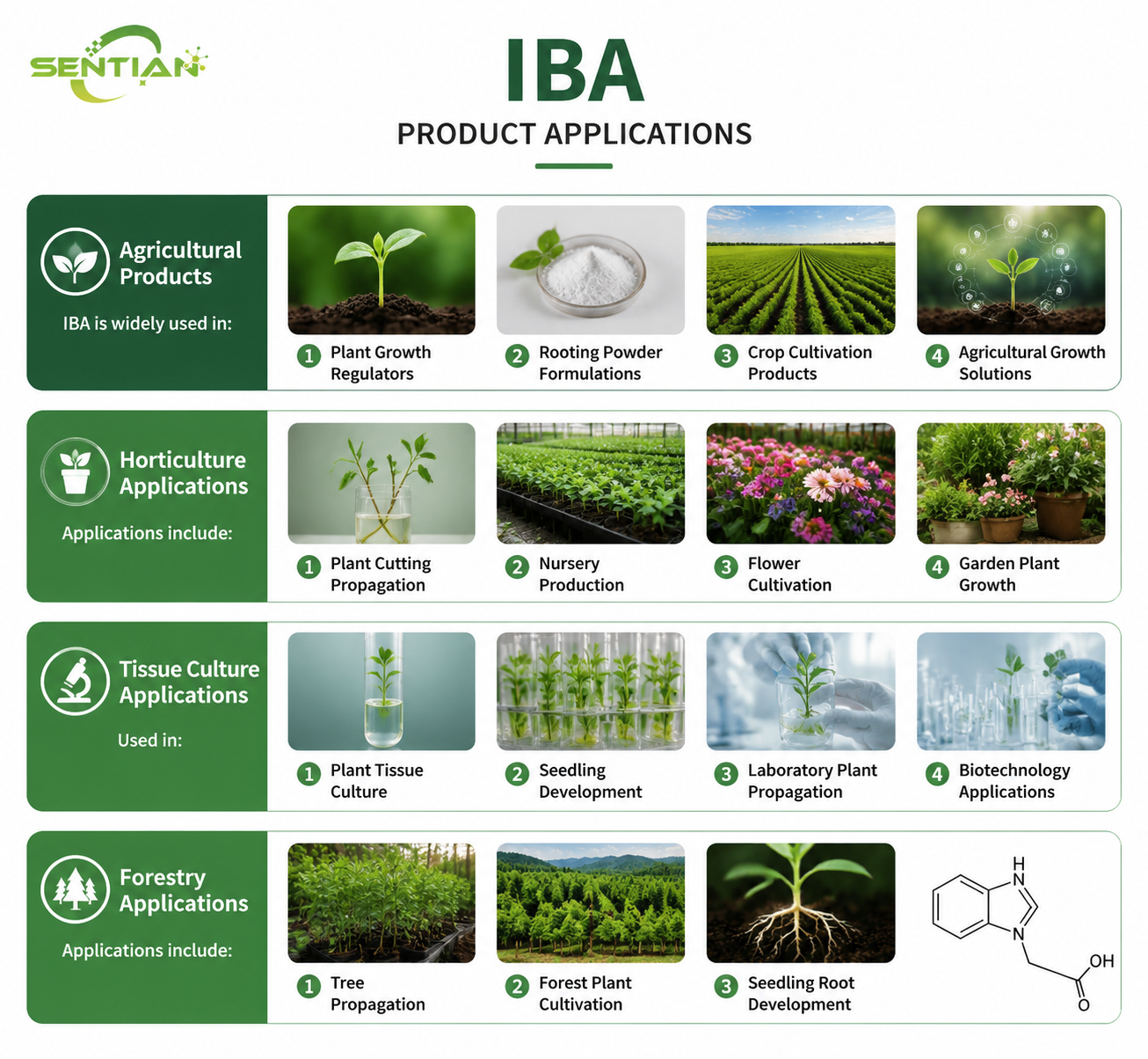 IBA（2）