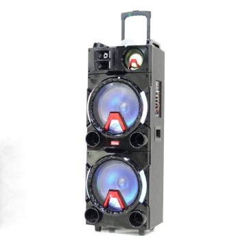 Active Speaker Professional Trolley Speaker DJ Sound System with Bluetooth