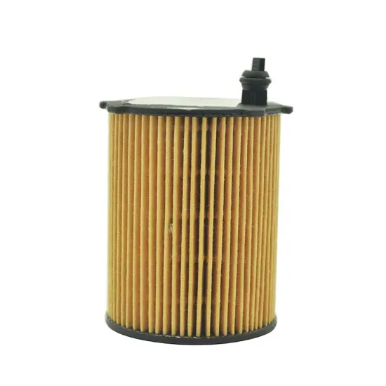 Customizable China Oil Filter Manufacturer - Wholesale Prices for Auto Spare Parts OE E40H D105