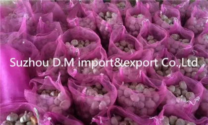 Health benefit Chinese garlic