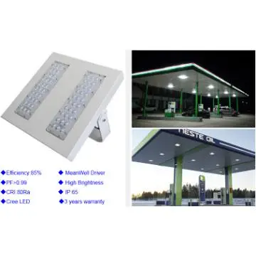 80W LED Canopy Light