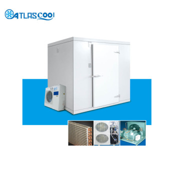 walk in unità di refrigerazione del congelatore