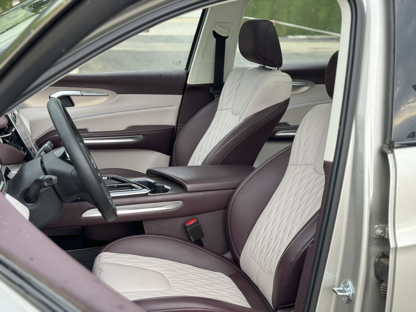 Automatic Flagship Model
