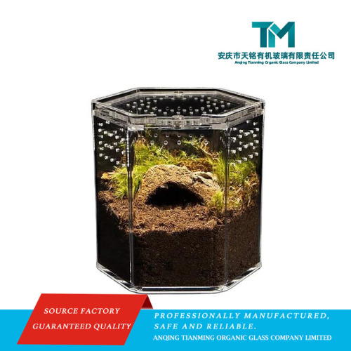 Gabinete para répteis em acrílico transparente hexagonal