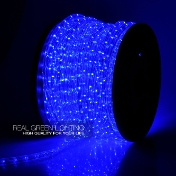 Manufacturer of IP65 Waterproof Outdoor Use Blue LED Rope Light