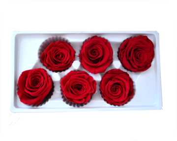 China Factory Supply DIY Preserved Roses 5-6cm - Long Lasting Natural Immortal Flowers