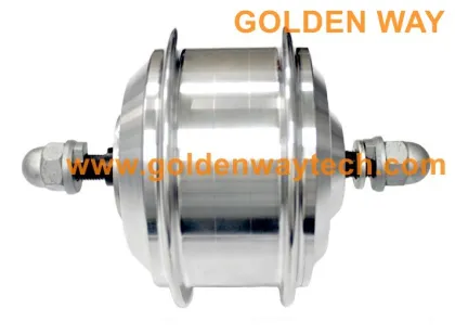 golden way motors for electric bike, electric bike motors