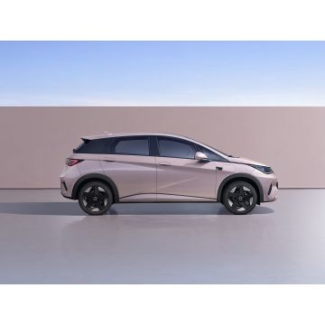 2025 Byd Dolphin 520 км Knight Edition