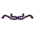 Verbrannte lila lamborghini gallardo 04-08 x-pipe auspuffsystem