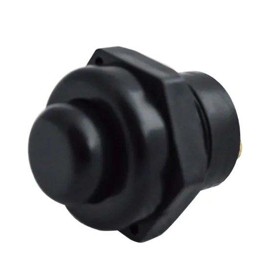 OEM High Quality Waterproof 12V 16A Auto Car Switch Manufacturer