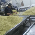 Wuhan Hot Noodles con linea di produzione in pasta di sesamo