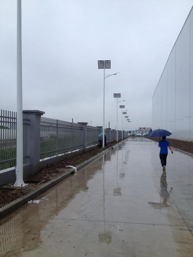solar light street light