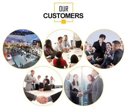 Wholesale Natural Freeze Dried Quail Cat Food and Egg Yolk Snacks