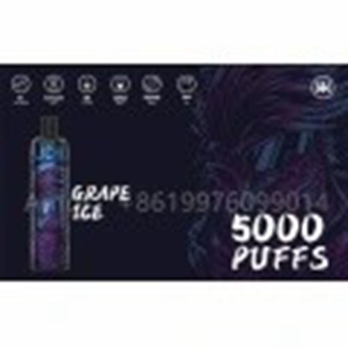 Énergie 5000 Vape jetable Puff 5% 12 saveurs