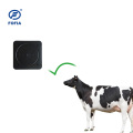 Cow Ear Tag Fixed Reader สำหรับประตู